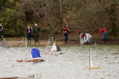 DSC03313 © Peter Taylor 2011