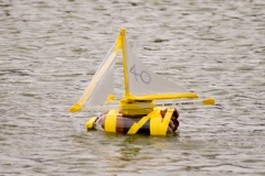 DSC03297 © Peter Taylor 2011