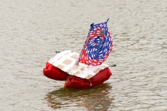 DSC03299 © Peter Taylor 2011