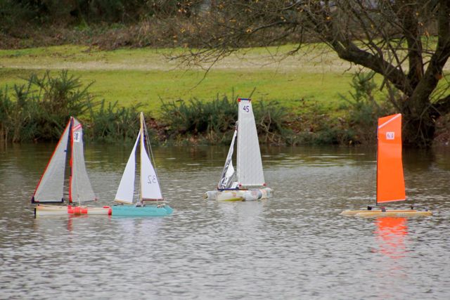 DSC02435 © Peter Taylor 2012