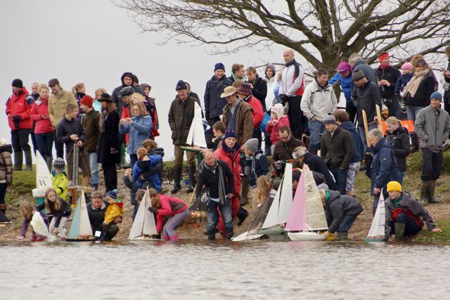 DSC02413 © Peter Taylor 2012