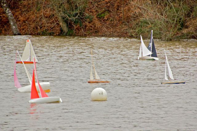 DSC02458 © Peter Taylor 2012