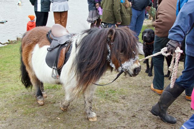 DSC02514 © Peter Taylor 2012