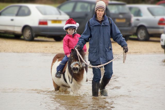 DSC02526 © Peter Taylor 2012
