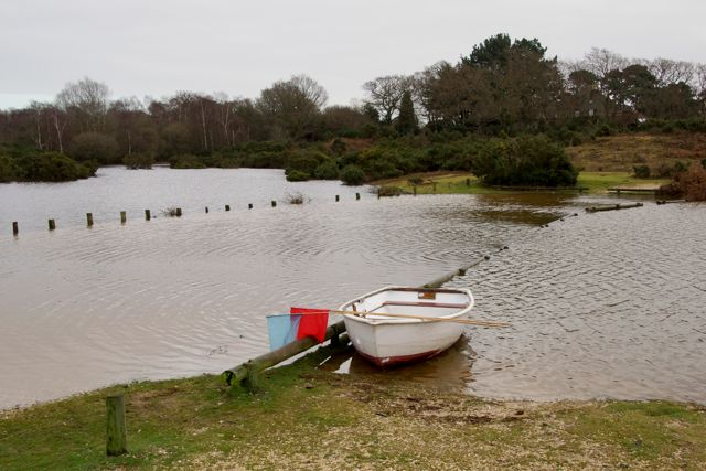 DSC02382 © Peter Taylor 2012