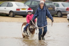 DSC02526 © Peter Taylor 2012