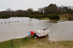 DSC02382 © Peter Taylor 2012