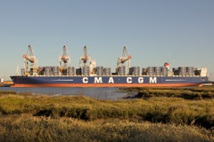 DSC02146 © Peter Taylor 2012
