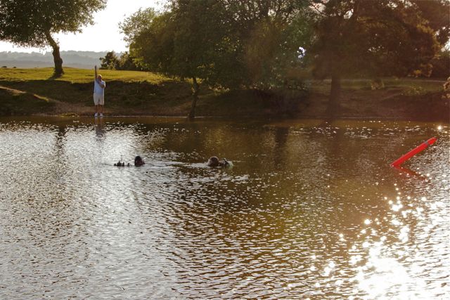 DSC03361 © Peter Taylor 2013