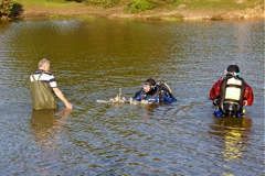 DSC03367 © Peter Taylor 2013