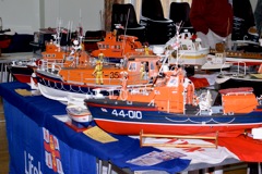 DSC04819 © Peter Taylor 2008