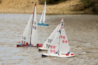 DSC03645 © Peter Taylor 2012