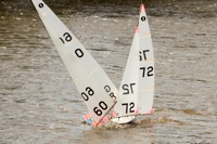 DSC03664 © Peter Taylor 2012