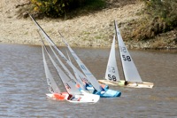 DSC03713 © Peter Taylor 2012