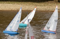 DSC03747 © Peter Taylor 2012