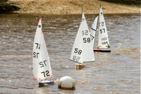 DSC03811 © Peter Taylor 2012