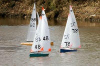 DSC03451 © Peter Taylor 2012