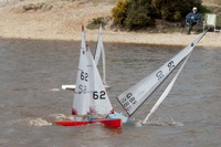 DSC09914 © Peter Taylor 2012