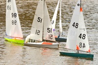 DSC03522 © Peter Taylor 2012