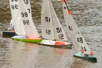 DSC03523 © Peter Taylor 2012