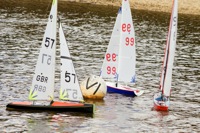 DSC03615 © Peter Taylor 2012