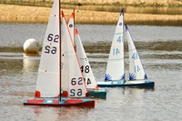 DSC03621 © Peter Taylor 2012