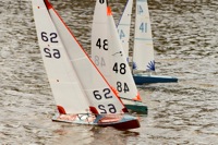 DSC03626 © Peter Taylor 2012