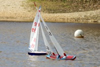 DSC03638 © Peter Taylor 2012