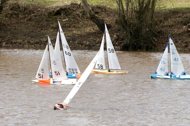 DSC03710 © Peter Taylor 2012