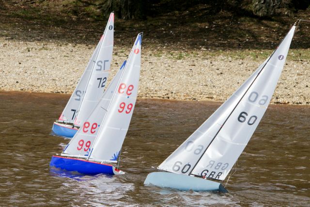 DSC03800 © Peter Taylor 2012