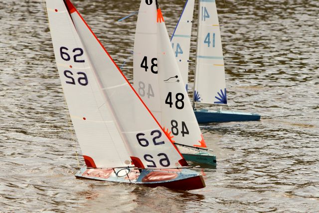 DSC03626 © Peter Taylor 2012