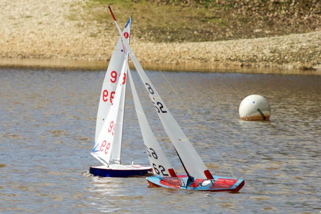 DSC03638 © Peter Taylor 2012
