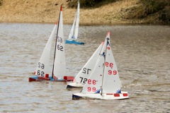 DSC03645 © Peter Taylor 2012