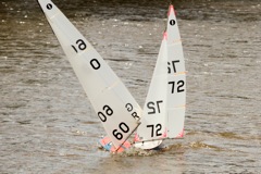 DSC03664 © Peter Taylor 2012