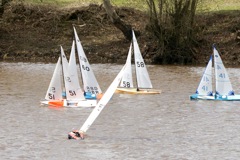 DSC03710 © Peter Taylor 2012