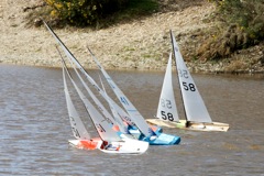 DSC03713 © Peter Taylor 2012
