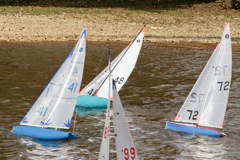 DSC03747 © Peter Taylor 2012
