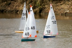 DSC03451 © Peter Taylor 2012