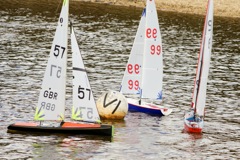 DSC03615 © Peter Taylor 2012