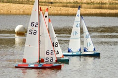 DSC03621 © Peter Taylor 2012