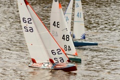 DSC03626 © Peter Taylor 2012