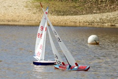 DSC03638 © Peter Taylor 2012