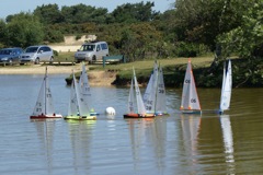 DSC00350.JPG