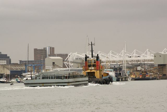 DSC00137 © Peter Taylor 2013