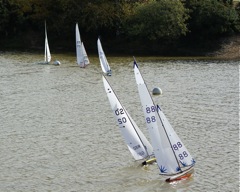 DSC07241.JPG copy