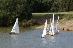 DSC07183.JPG