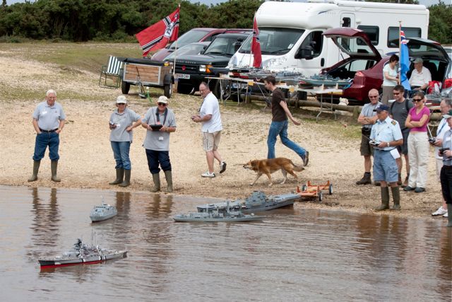 DSC02837 © Peter Taylor 2011