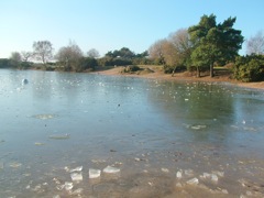 8th January 20090108113500