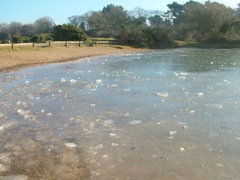 8th January 20090108113834