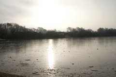 10th January 2009 DSC00205.JPG